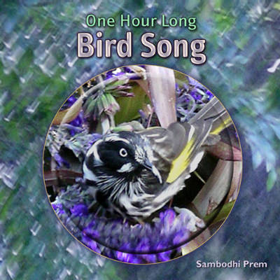 Album cover of 'One Hour Long Bird Song' by Sambodhi Prem